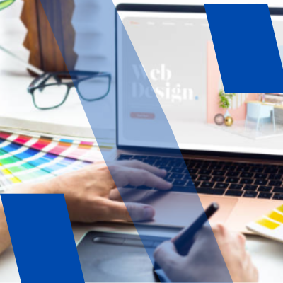 Web Designer & Developer